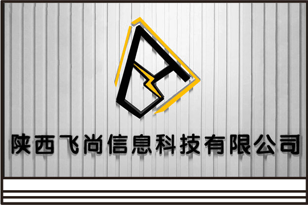 陕西飞尚